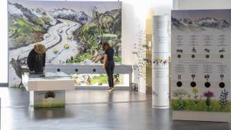 Free admission: The World of UNESCO Heritage