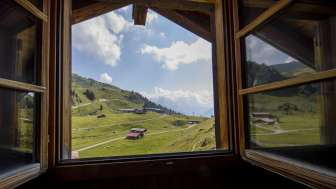 Aussicht durch das Fenster