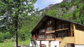 Untergfell