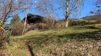 Chalet zWald