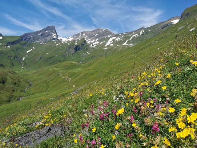 To the Breitenboden Alp in the Reichenbach Valley