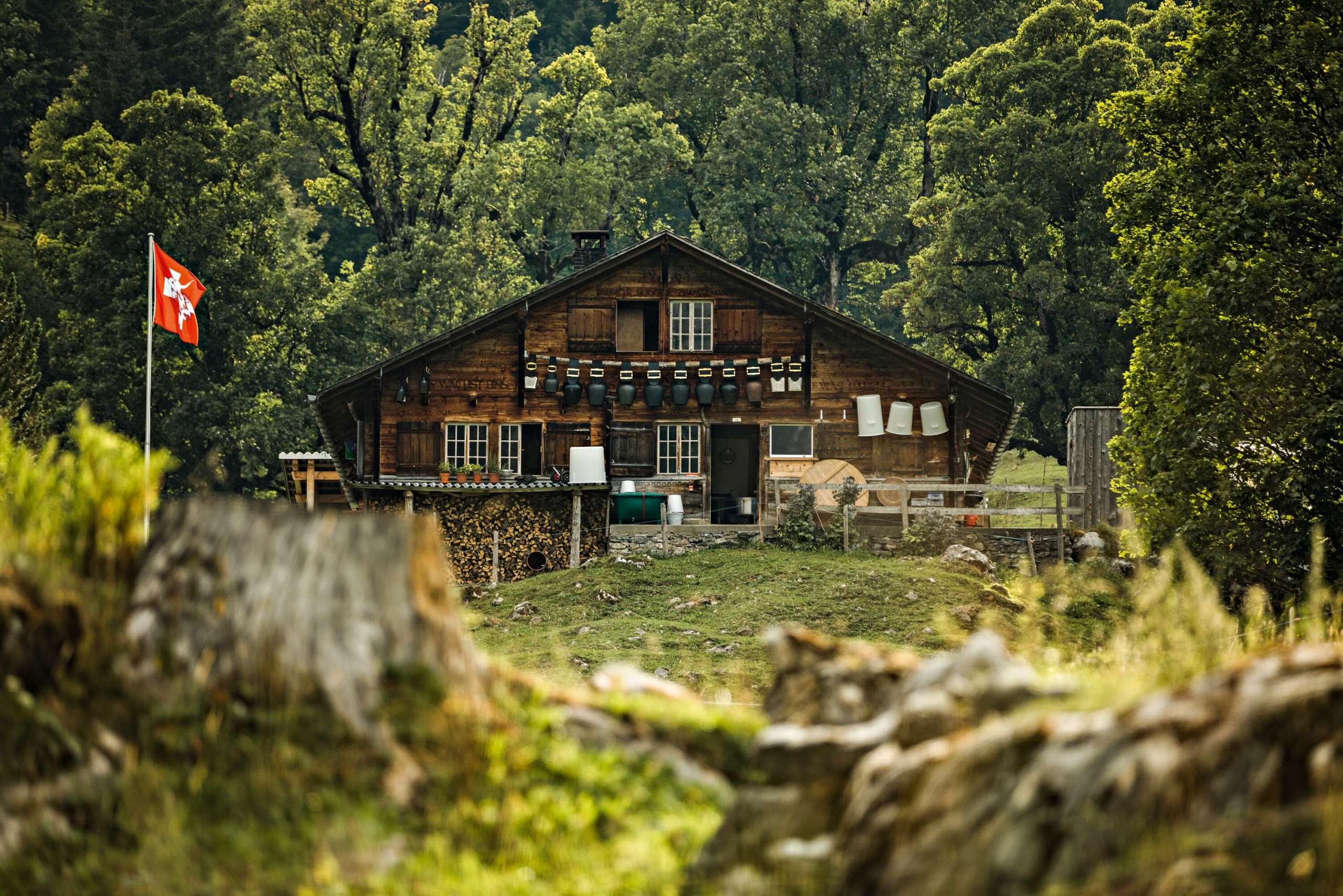 The chalet stands in the forest on the Schwarzwaldalp. The Swiss flag can be seen waving in the wind in the forecourt.