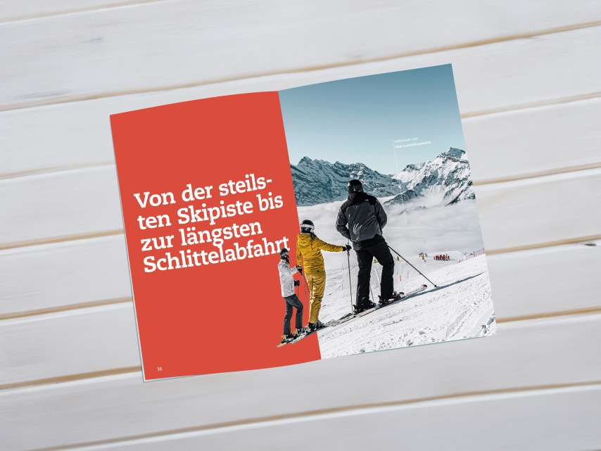 Jungfrau Region Guide