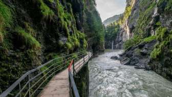 Aareschlucht 4