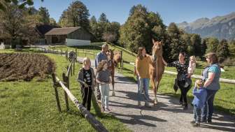 25% discount: Admission to the Ballenberg Open-Air Museum 