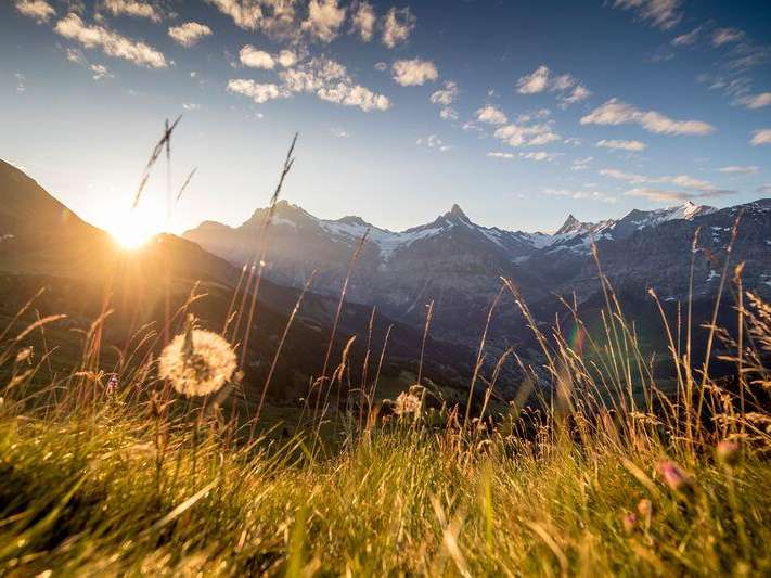 Bussalp